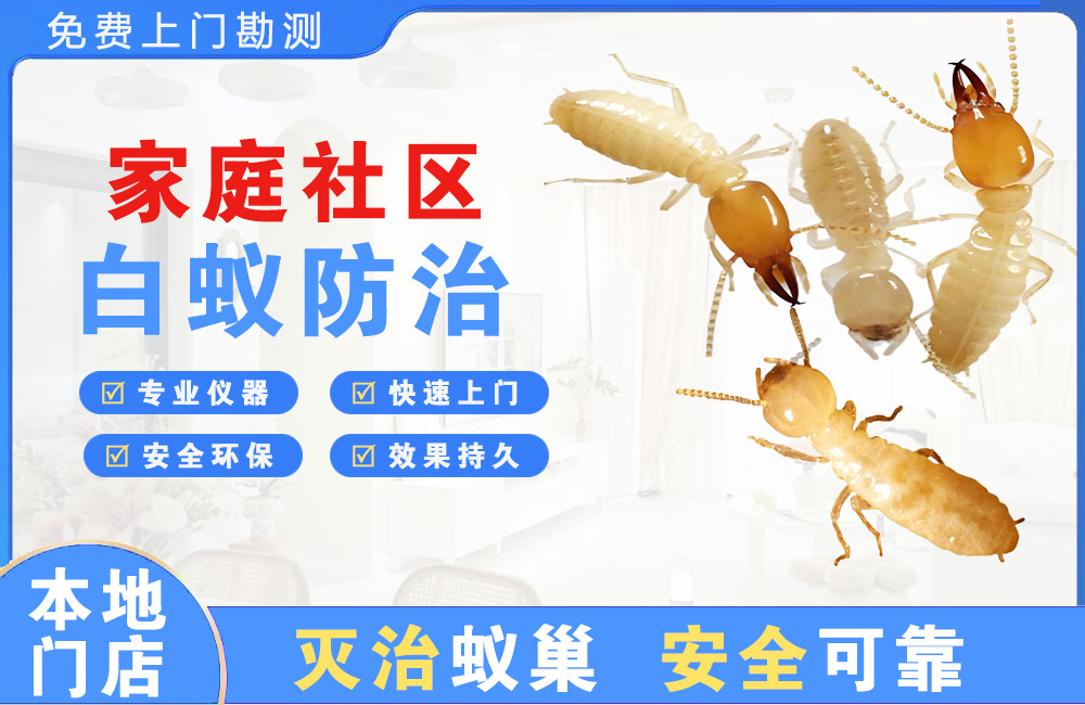 陵水家庭社区白蚁防治