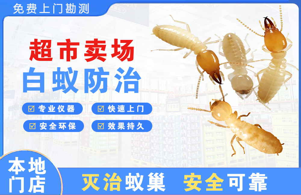 陵水超市卖场白蚁防治