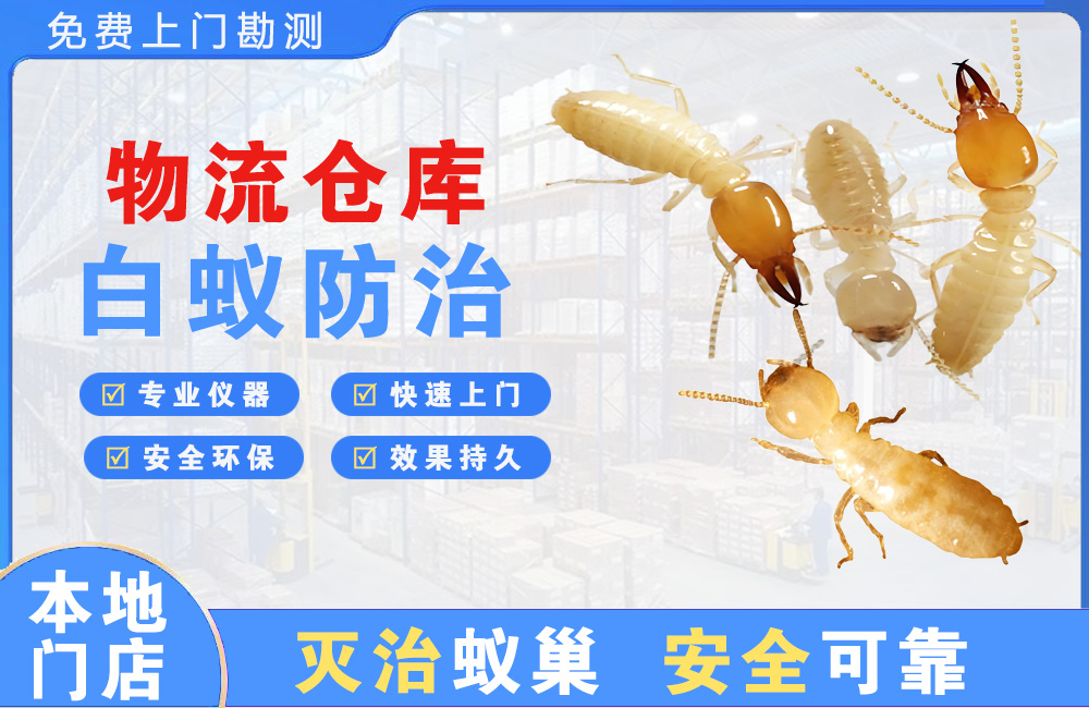 陵水物流仓库白蚁防治