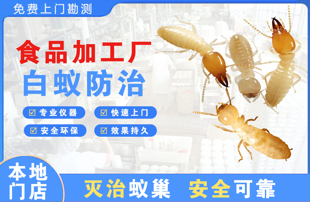 陵水食品加工厂白蚁防治