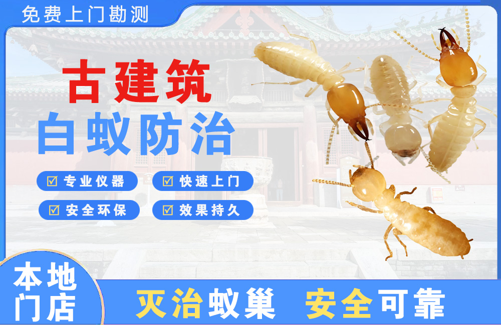 陵水古建筑白蚁防治