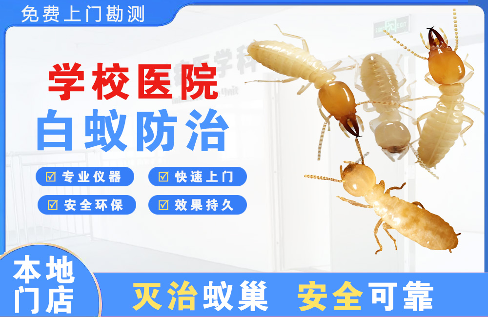 陵水学校医院白蚁防治