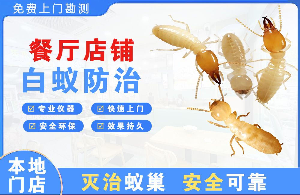 陵水餐厅店铺白蚁防治